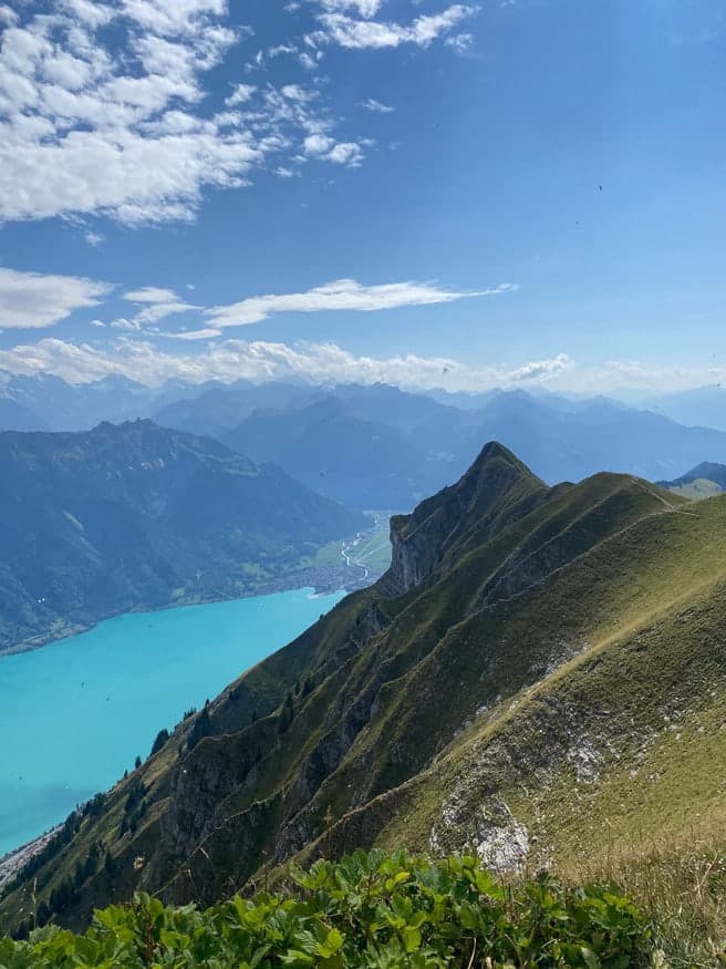 Grasiger Grat hoch über dem türkisblauen Brienzersee, im Hintergrund die Berner Alpen