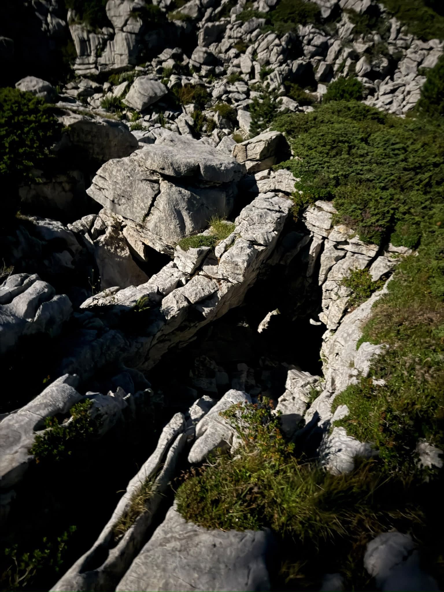 Zerklüftete, helle Karstfelsen mit Moos und Latschen
