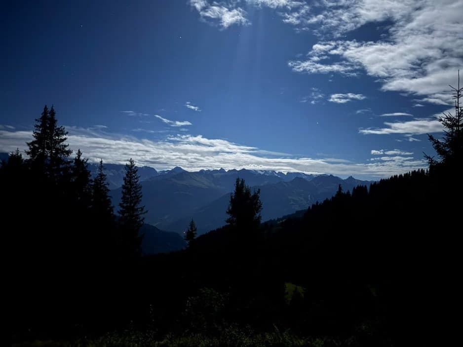 Dunkle Tannensilhouetten vor tiefblauem Himmel und fernen Gipfeln