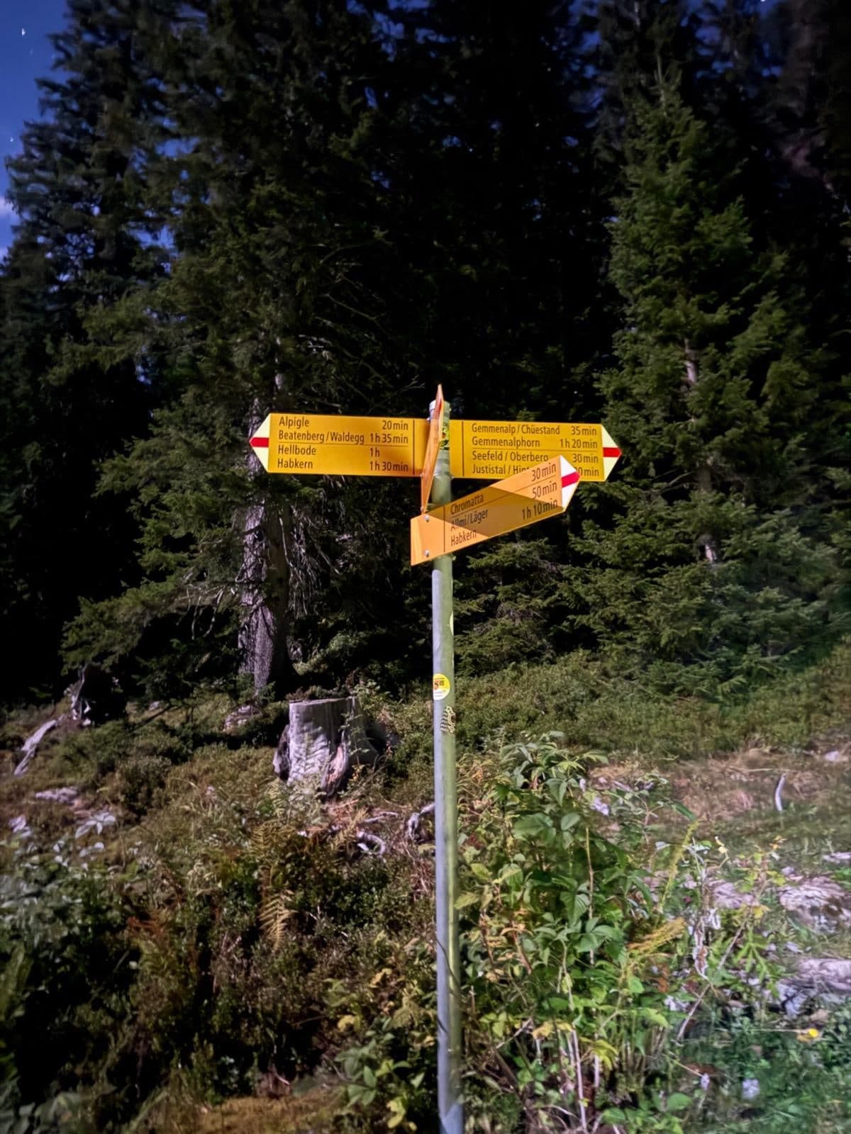Gelber Wanderwegweiser im Bergwald